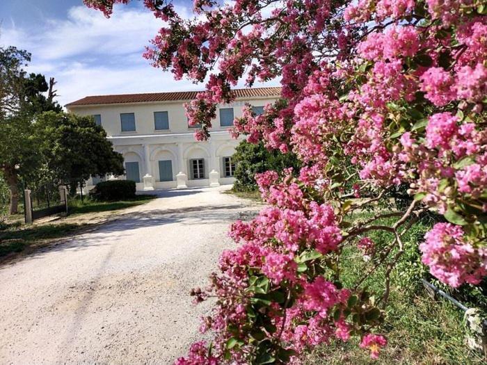 Hotel Le Floreal Le Soler Esterno foto